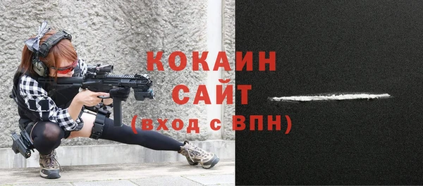 прущие грибы Аркадак