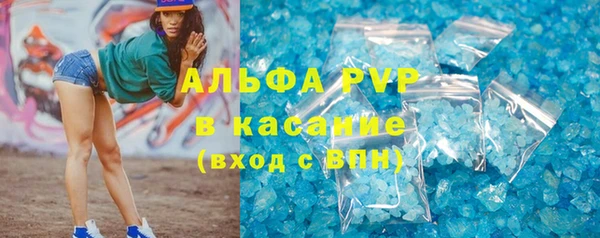 прущие грибы Аркадак